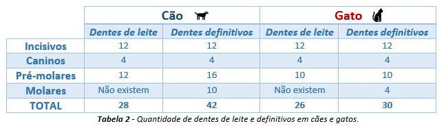 Tabela com quantidade de dentes de leite e definitivos em cães e gatos