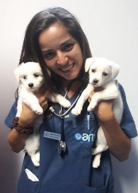 Médica veterinária com cachorros